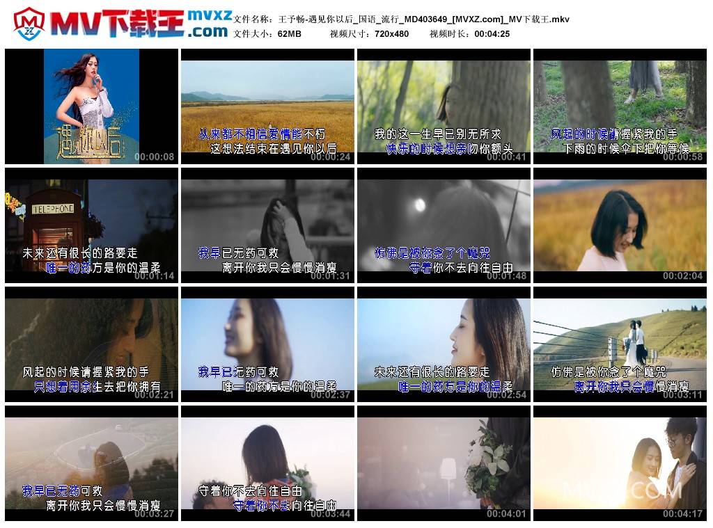 王予畅-遇见你以后_国语_流行_MD403649